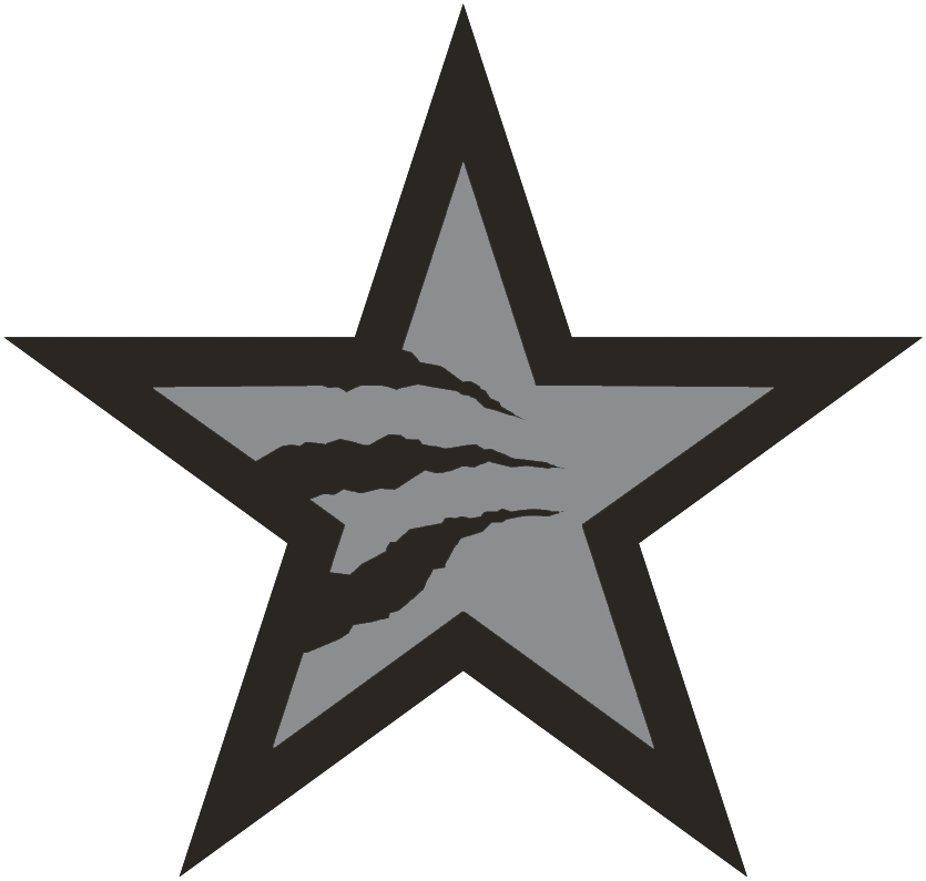 NBA All-Star Game 2016 Secondary Logo DIY iron on transfer (heat transfer)